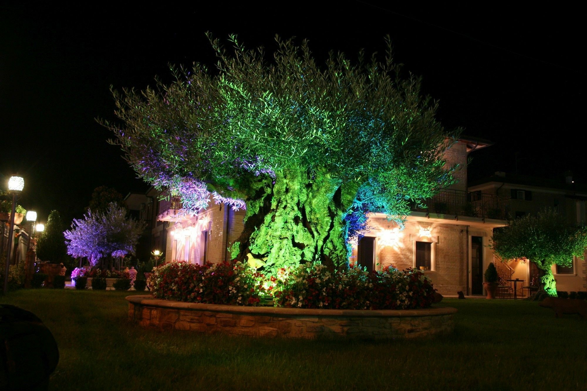 Domus Angeli Hotel Assisi Exterior photo